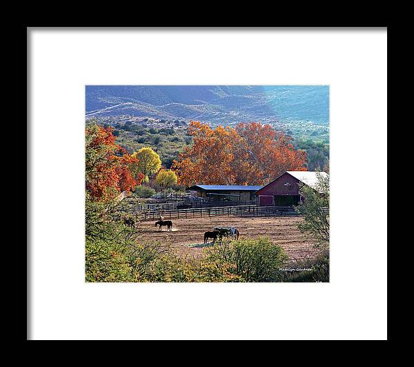Ranch Framed Print featuring the photograph Autumn Ranch by Matalyn Gardner