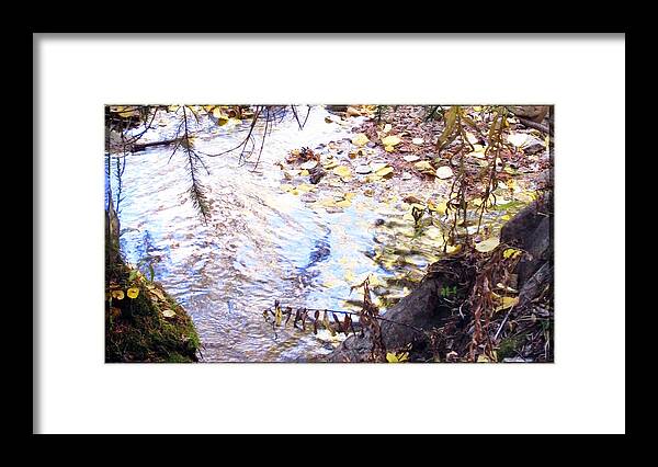 Water Framed Print featuring the photograph Autumn Reflections by Feather Redfox