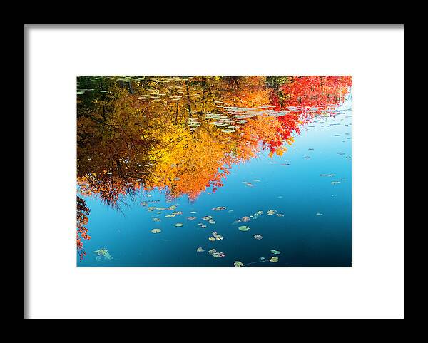 Intimate Landscape Framed Print featuring the photograph Autumn Reflections by John Roach