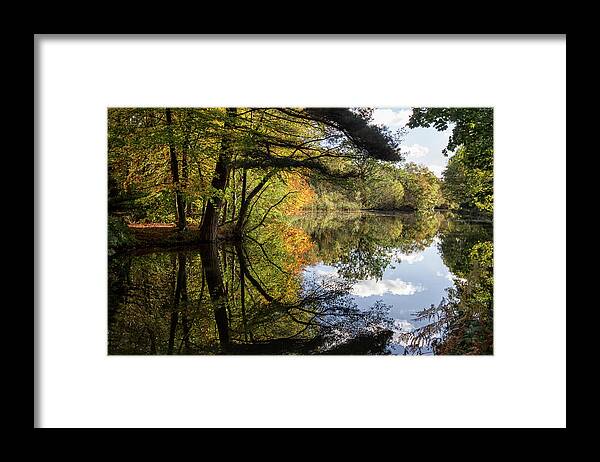 Autumn Framed Print featuring the photograph Autumn reflections by Shirley Mitchell