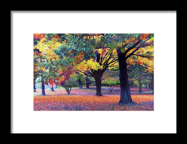 Autumn Framed Print featuring the photograph Autumn Symphony by Jessica Jenney