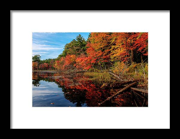 Fall Framed Print featuring the photograph Autumn Scene by Jean-Pierre Ducondi