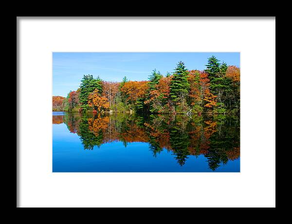  Framed Print featuring the photograph Autumn Silence at Huntington by Polly Castor
