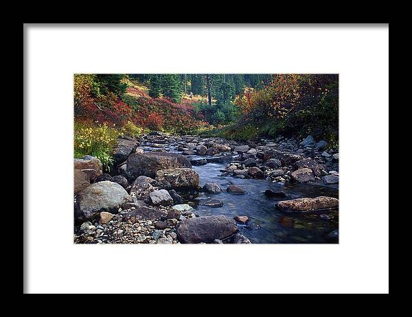 Stream Framed Print featuring the photograph Autumn Stream by Todd Kreuter