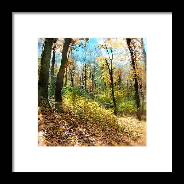 Michigan Art Framed Print featuring the photograph Autumn trail by Gina Signore