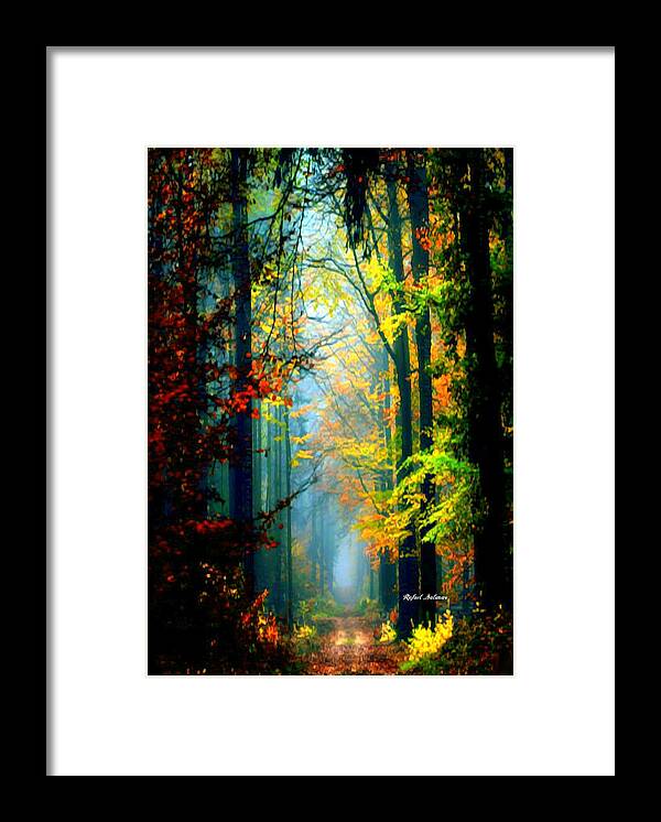 Rafael Salazar Framed Print featuring the photograph Autumn Trails in Georgia by Rafael Salazar