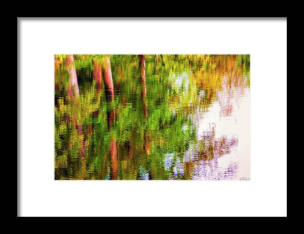 Autumn Framed Print featuring the photograph Autumn trees reflect in a creek by Dee Browning