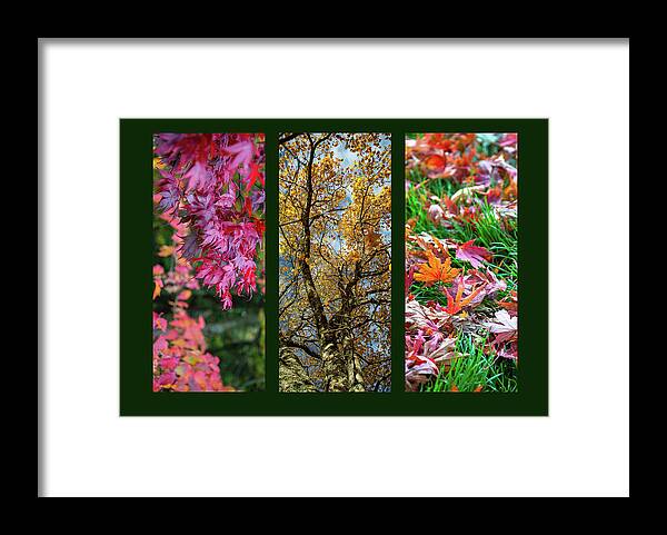 Triptych Framed Print featuring the photograph Autumn Triptych by Martina Fagan
