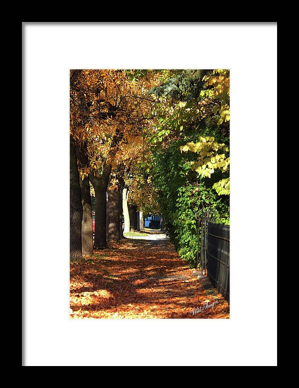 Autumn Framed Print featuring the photograph Autumn Tunnel of Love by Wild Thing