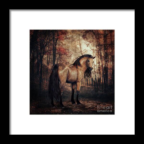 Horse Framed Print featuring the digital art Autumn Walk by Shanina Conway