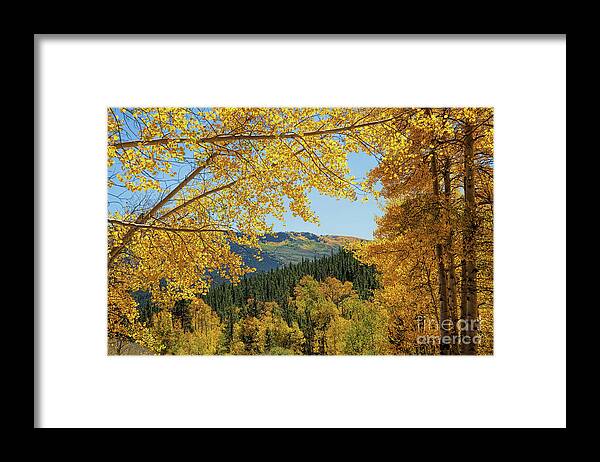 Autumn Landscape Framed Print featuring the photograph Autumn Wimdow by Jim Garrison
