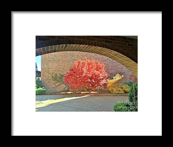 Autumn Framed Print featuring the photograph Autumn's Glory by Barbara Plattenburg