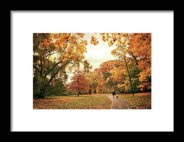Autumn Framed Print featuring the photograph Autumn's Golden Path by Jessica Jenney