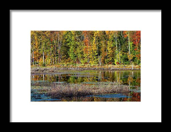 Silent Waters Framed Print featuring the photograph Autumns Quiet Moment by Karol Livote