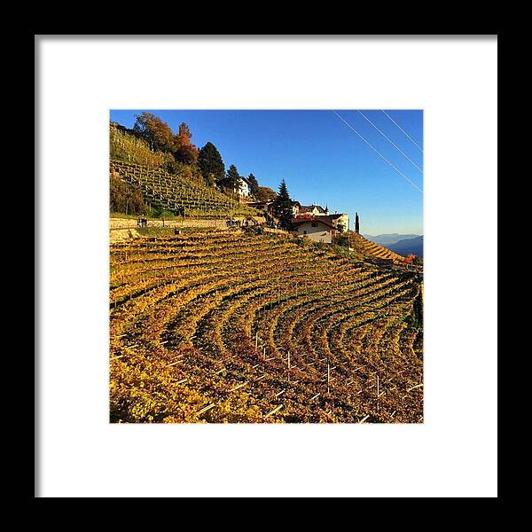 Mountain Framed Print featuring the photograph Autunno A Tirolo.
#altoadige by Luisa Azzolini