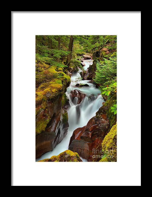 Avalanche Creek Framed Print featuring the photograph Avalanche Creek Through The Forst by Adam Jewell