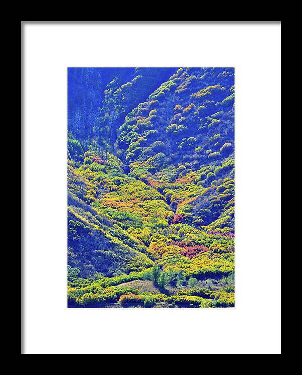 Colorado Framed Print featuring the photograph Avalanche of Fall Color in Glenwood Springs by Ray Mathis