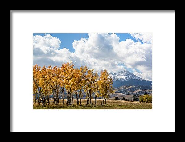 Aspens Framed Print featuring the photograph Awesome Autumn View by Denise Bush