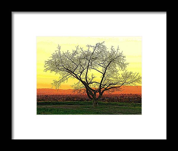 Tree Framed Print featuring the photograph Azusa Sentinel by Pat Wagner