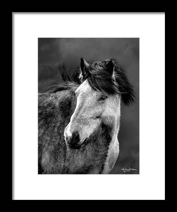 Iceland Framed Print featuring the photograph B L A C K I E by Andrew Dickman