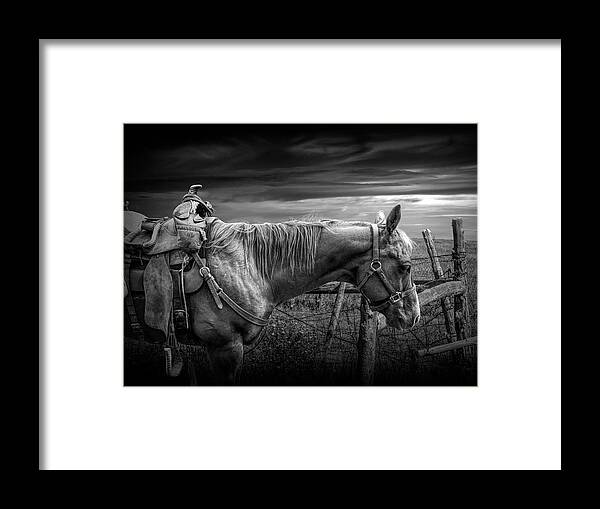 Saddle Framed Print featuring the photograph Back at the Ranch in Black and White by Randall Nyhof