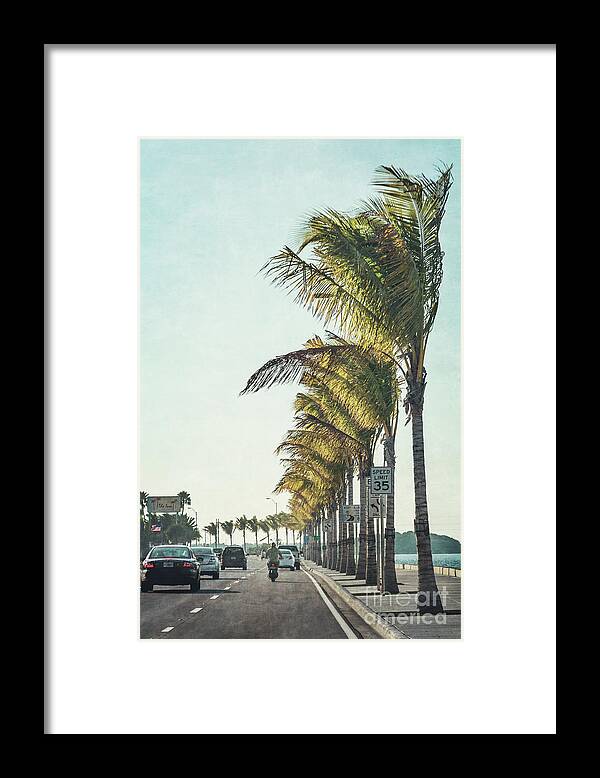 Kremsdorf Framed Print featuring the photograph Back Down South by Evelina Kremsdorf