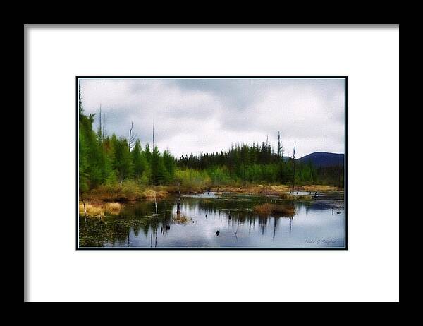 Adirondack Mountains Framed Print featuring the painting Backcountry Lake - Adirondacks by Linda Seifried
