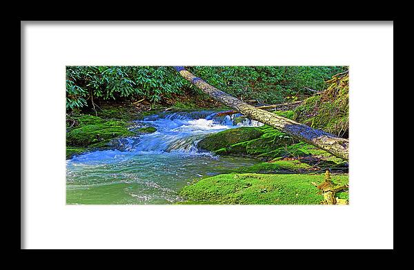 Backwoods Stream Framed Print featuring the photograph Backwoods Stream by The James Roney Collection