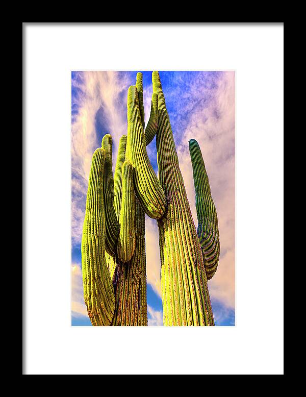 Bad Hombre Framed Print featuring the photograph Bad Hombre by Paul Wear