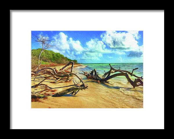 Beach Framed Print featuring the photograph Bahia Honda State Park by Jane Fiala