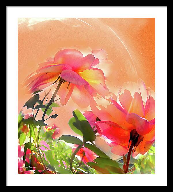 Flowers Framed Print featuring the photograph Baile Floral by Alfonso Garcia