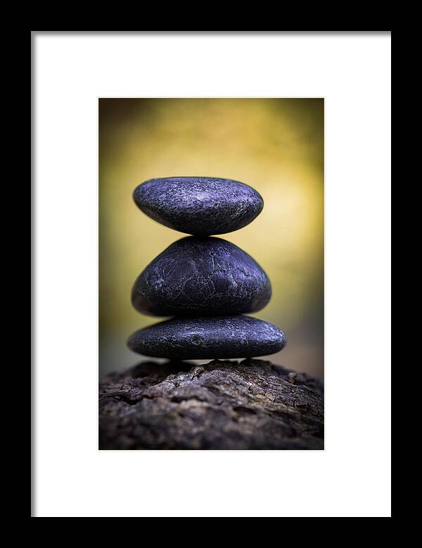 Balance Framed Print featuring the photograph Balance by Dale Kincaid