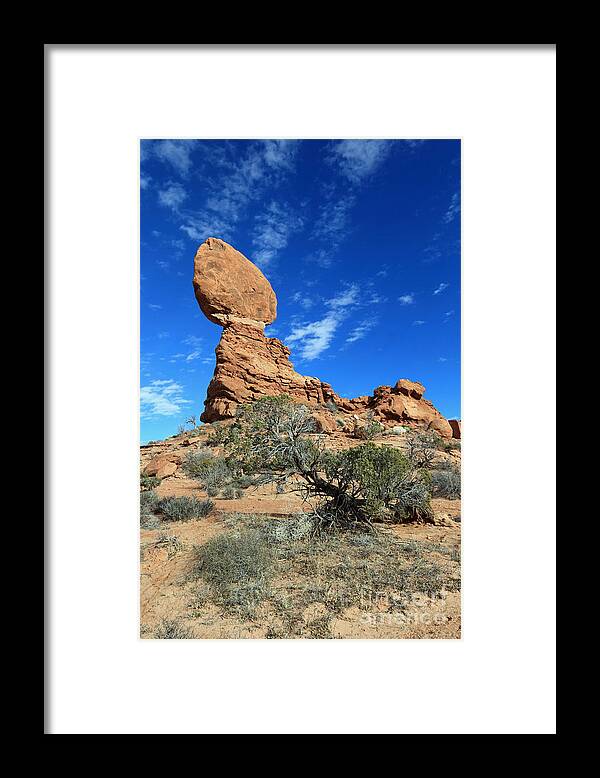 Landscape Framed Print featuring the photograph Balanced Rock and Desert Tree by Mary Haber