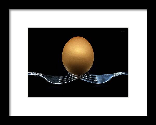 Photo Designs By Suzanne Stout Framed Print featuring the photograph Balancing Egg by Suzanne Stout