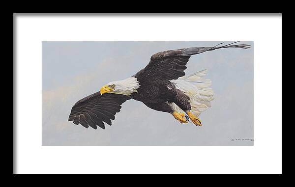 Wildlife Paintings Framed Print featuring the painting Bald Eagle by Alan M Hunt