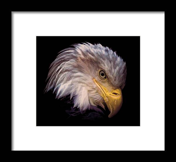 Eagle Framed Print featuring the photograph Bald Eagle by Athena Mckinzie