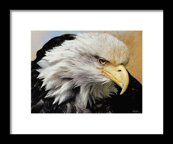 Bald Eagle - Painting Framed Print by Ericamaxine Price