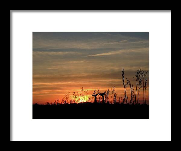 Whale Framed Print featuring the photograph Baleines Terrestres des Montagnes Vertes - Four by Vincent Green