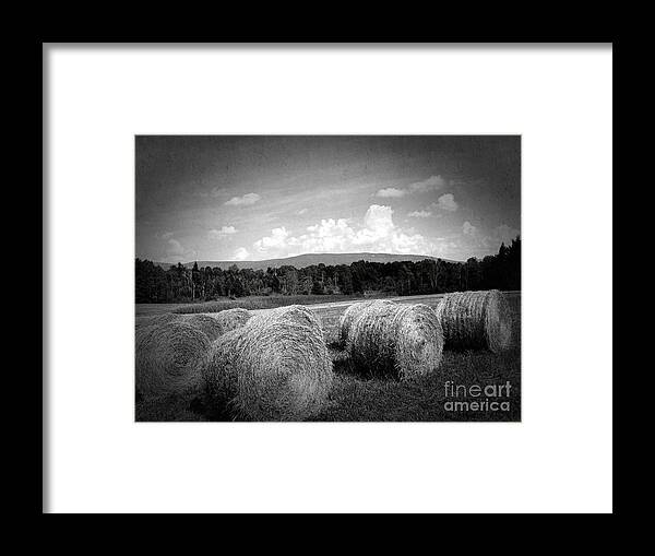 Bales Framed Print featuring the photograph Bales in Monochrome by Onedayoneimage Photography