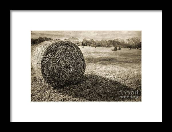Bales Framed Print featuring the photograph Bales by John Anderson