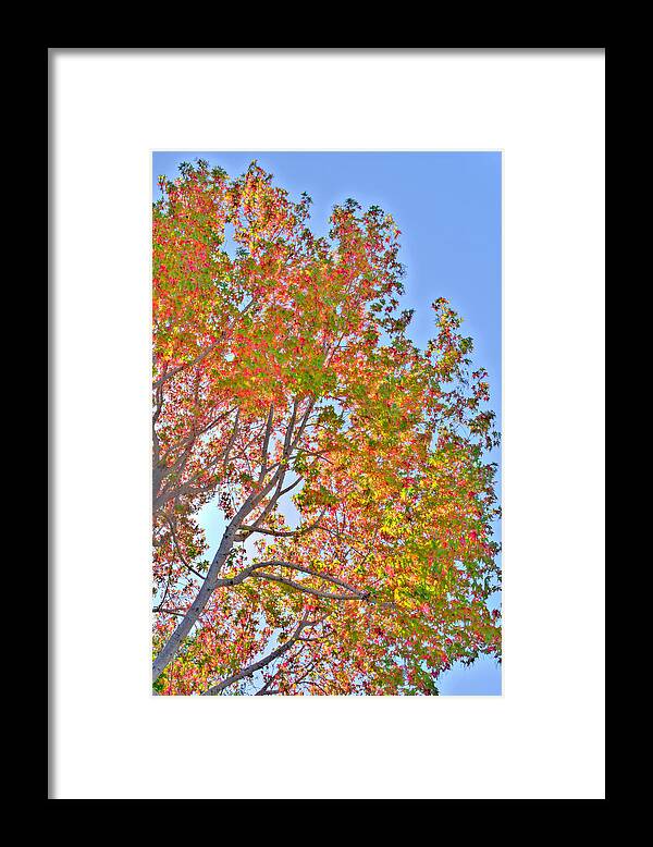 Fall Framed Print featuring the photograph Ball to the Wall Fall by Derek Dean