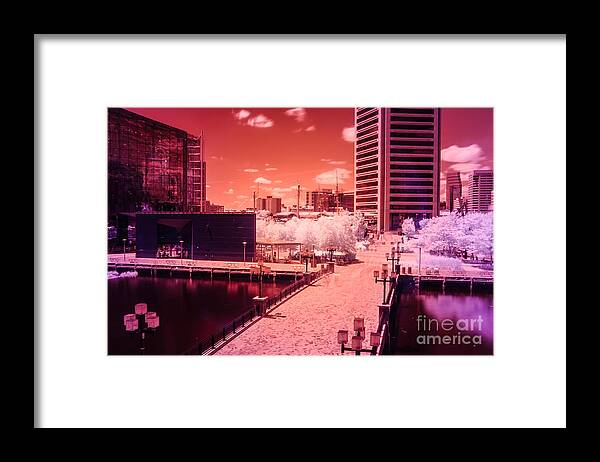 Baltimore Framed Print featuring the photograph Baltimore Harbor by Jonas Luis