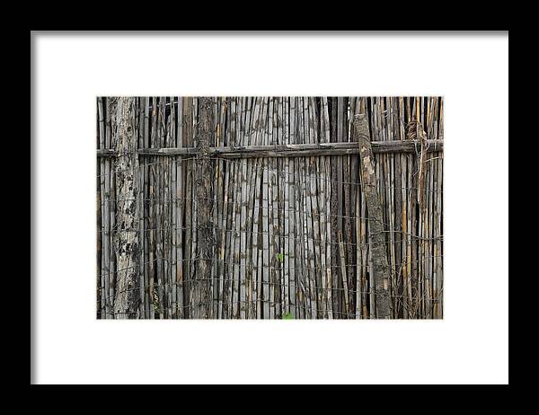 Bamboo Framed Print featuring the photograph Bamboo and Barbed Wire Fence by Robert Hamm