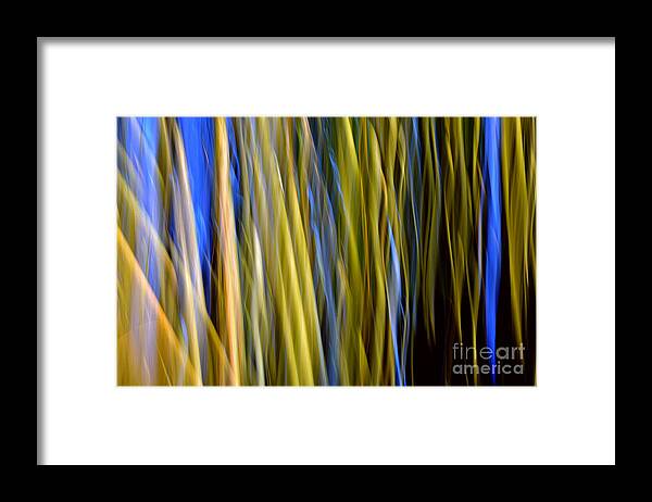 Abstract Framed Print featuring the photograph Bamboo Flames by Lorenzo Cassina