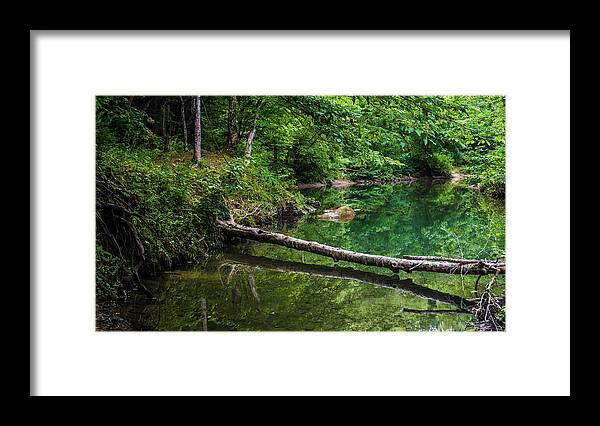 Lilly Framed Print featuring the photograph Bankhead Blue Hole Reflections by James-Allen