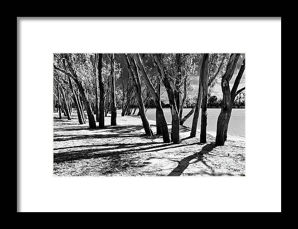Banks Of The Murray River Loxton Riverland South Australia B&w Framed Print featuring the photograph Banks of the Murray River by Bill Robinson
