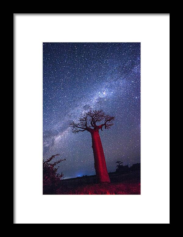 Baobab Framed Print featuring the photograph Baobab Milky Way by Matt Cohen