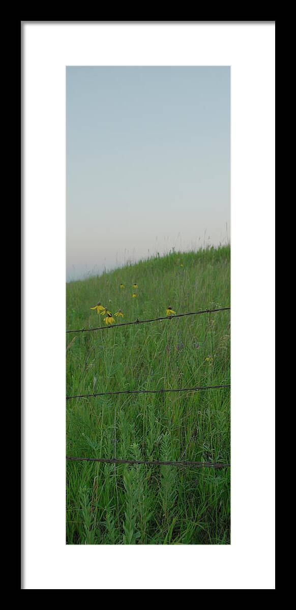 Barbwire Framed Print featuring the photograph Barb Wire Prairie by Troy Stapek
