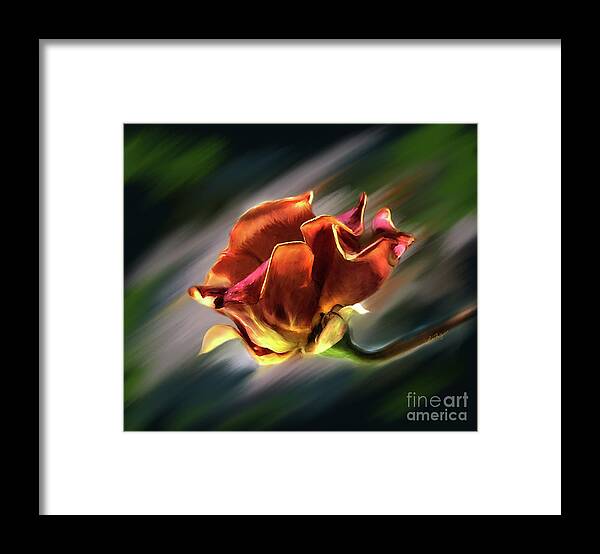 Rose Framed Print featuring the digital art Barbara's Beautiful Rose by Lisa Redfern