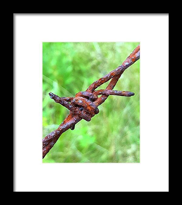 Wire Framed Print featuring the photograph Barbed by Bruce Carpenter